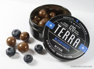 Terra Bites Chocolate Covered Blueberries from Kiva Confections Review