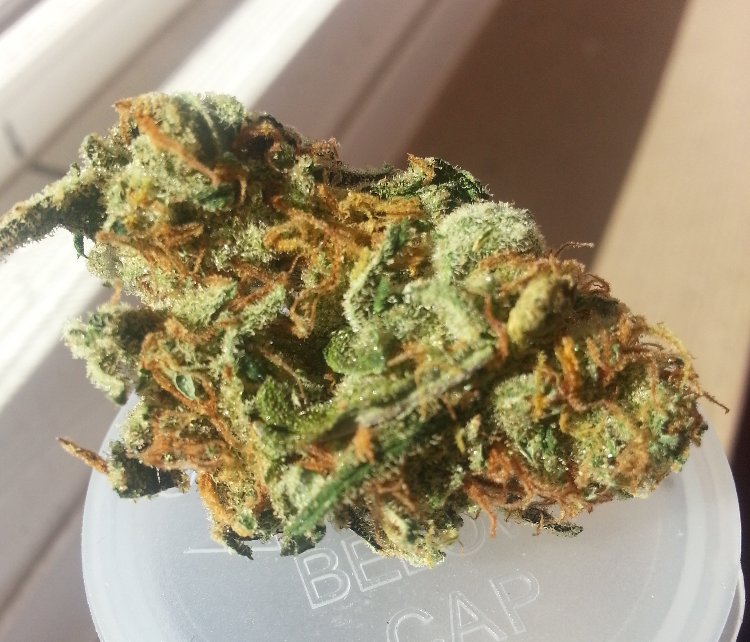 Super Lemon Haze from Southern California Patients Association Medical Marijuana Review