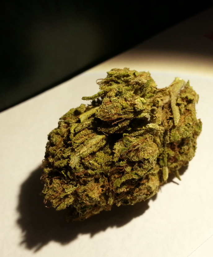 G-13 from Emerald Care Collective Medical Marijuana Review
