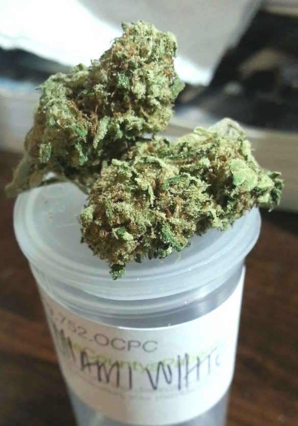 Miami White from OCPC Medical Marijuana Review