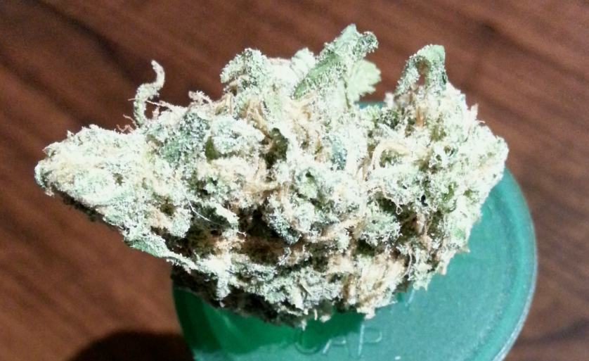 Blue Dream from OCPC Medical Marijuana Review