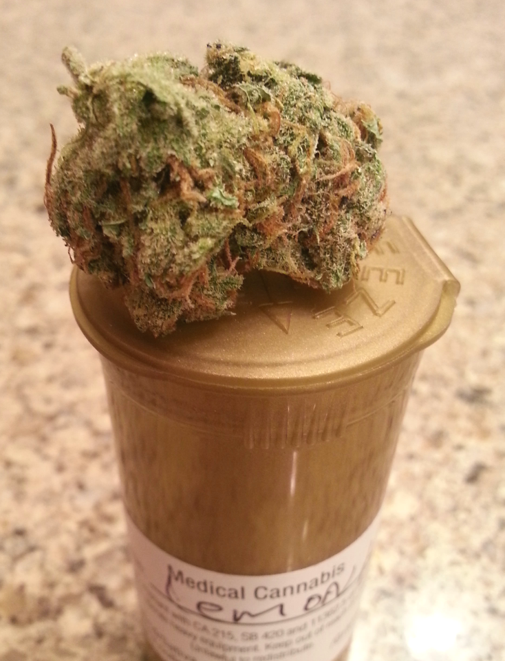 Lemon Haze from Saddleback Organics Medical Marijuana Review