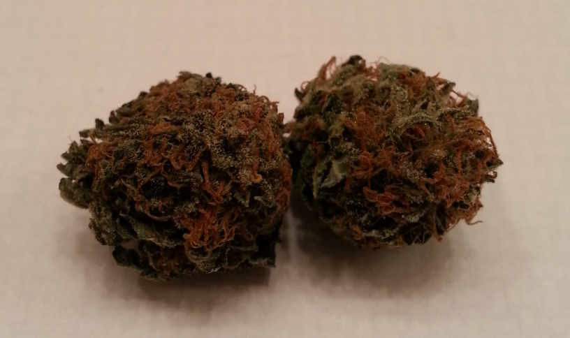 Master Kush from Emerald Care Medical Marijuana Review