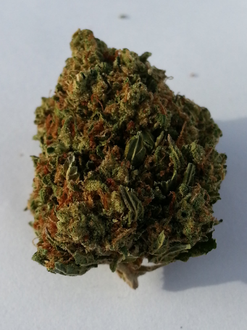 Cherry AK-47 from SC Greenz Medical Marijuana Review