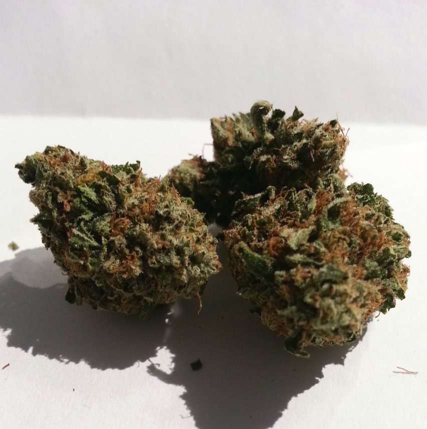 Gold Rush from PSA Medical Marijuana Review