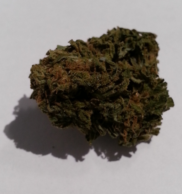 Grand Daddy Purp from SC Greenz Medical Marijuana Review