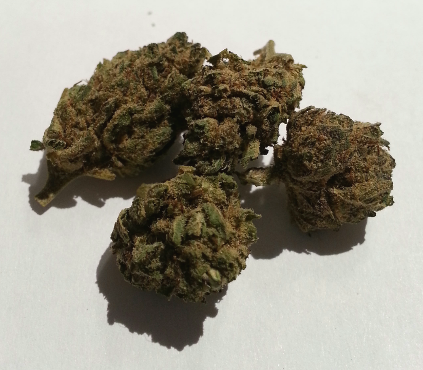 Redwood Kush from OCPC Medical Marijuana Review