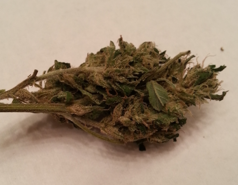 Sour Diesel from SC Greenz Medical Marijuana Review