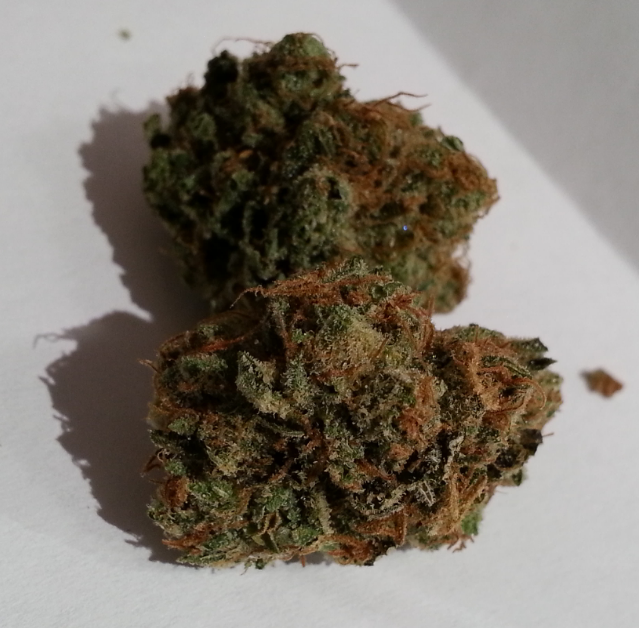 Super Cookie Haze from PSA Medical Marijuana Review