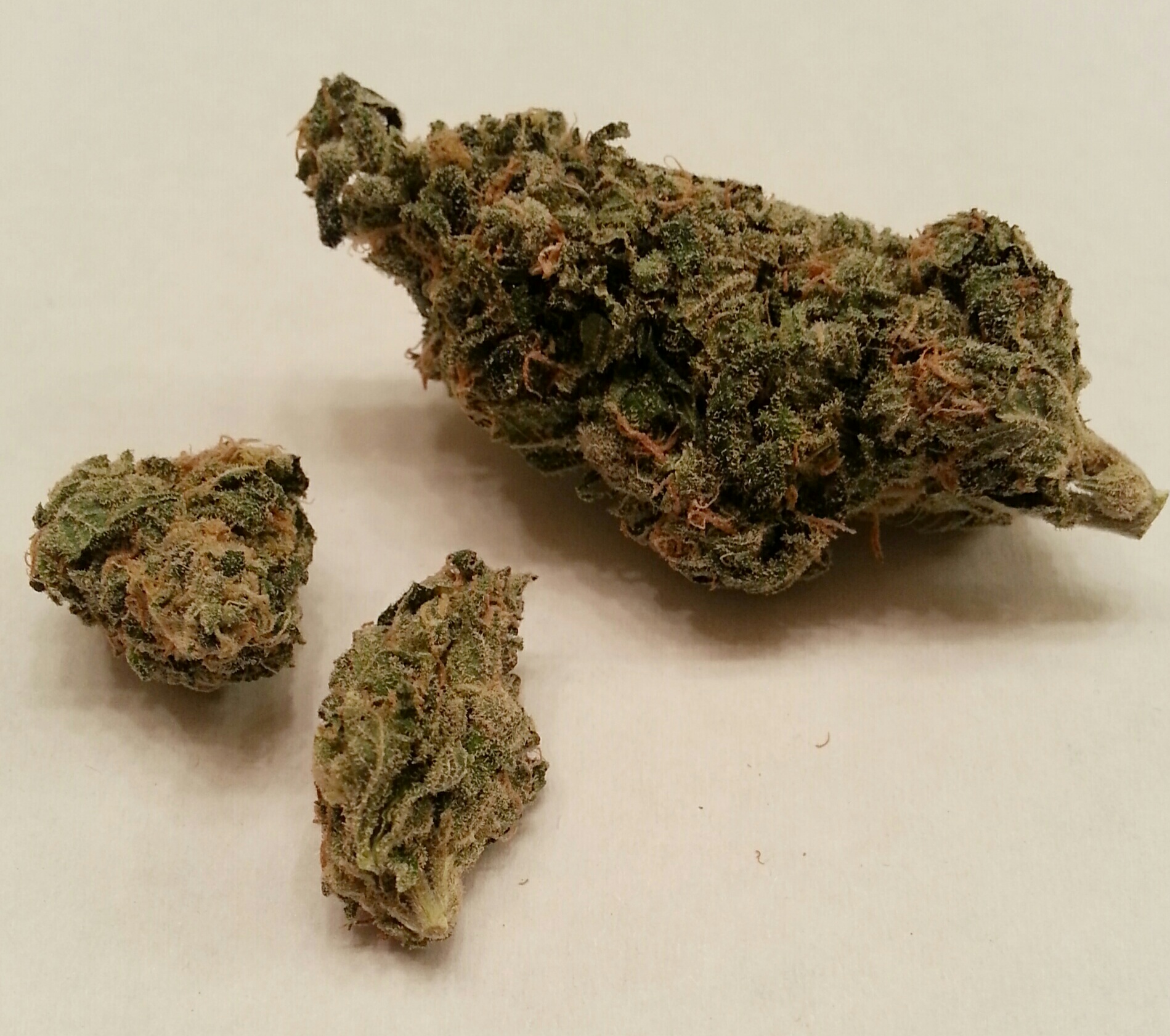 Sensi Star from the Clinic Medical Marijuana Review