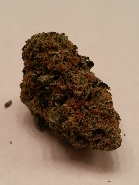 SFV OG from Elevated Dreams Medical Marijuana Review