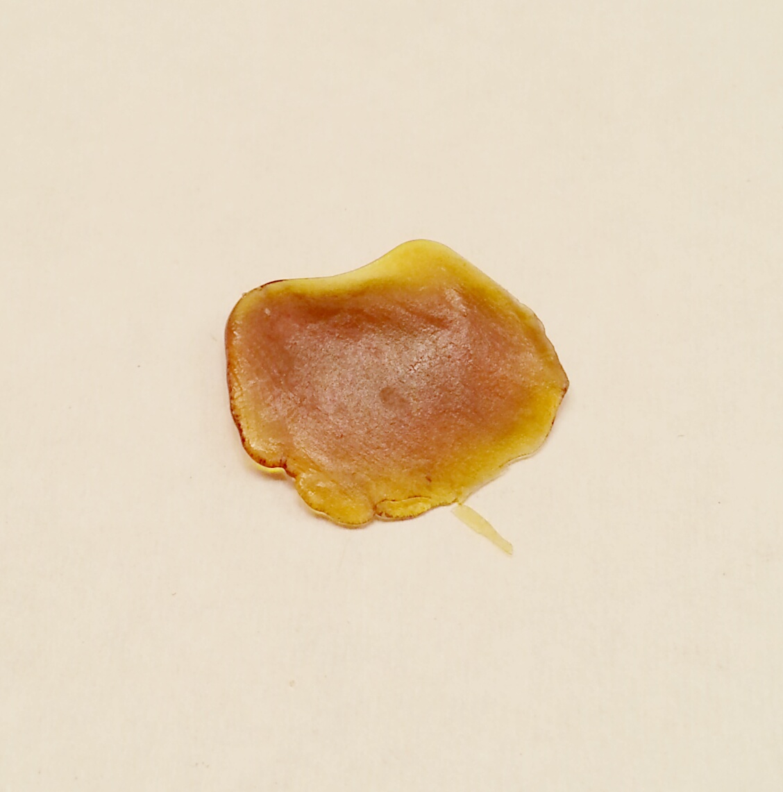 Super G-13 shatter from Elevated Dreams Concentrate Review