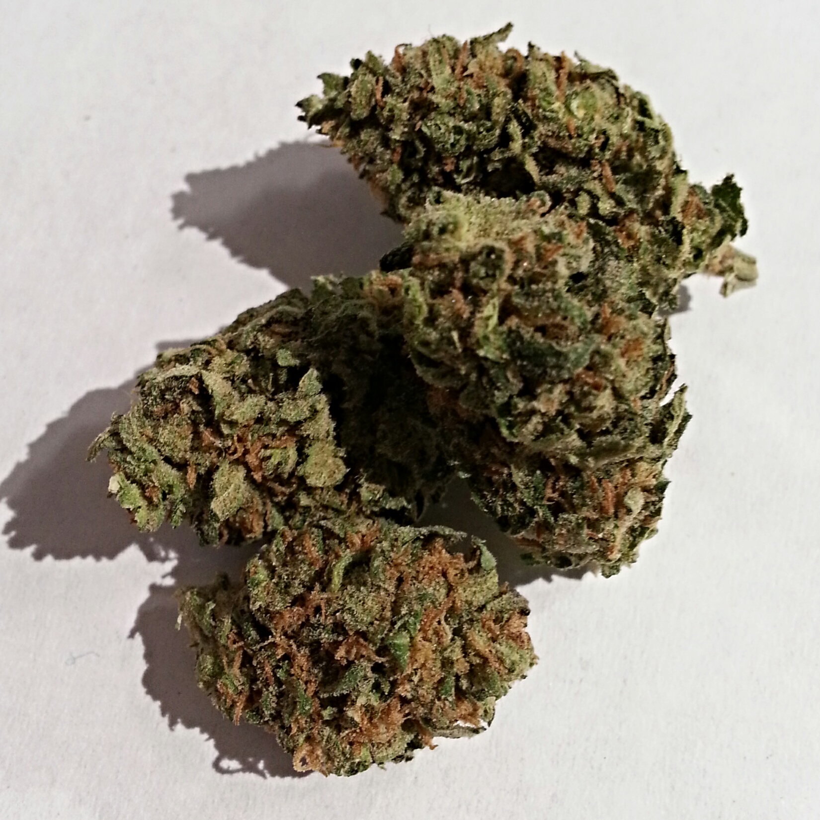 Durban Poison from Diamond Grove Medical Marijuana Review
