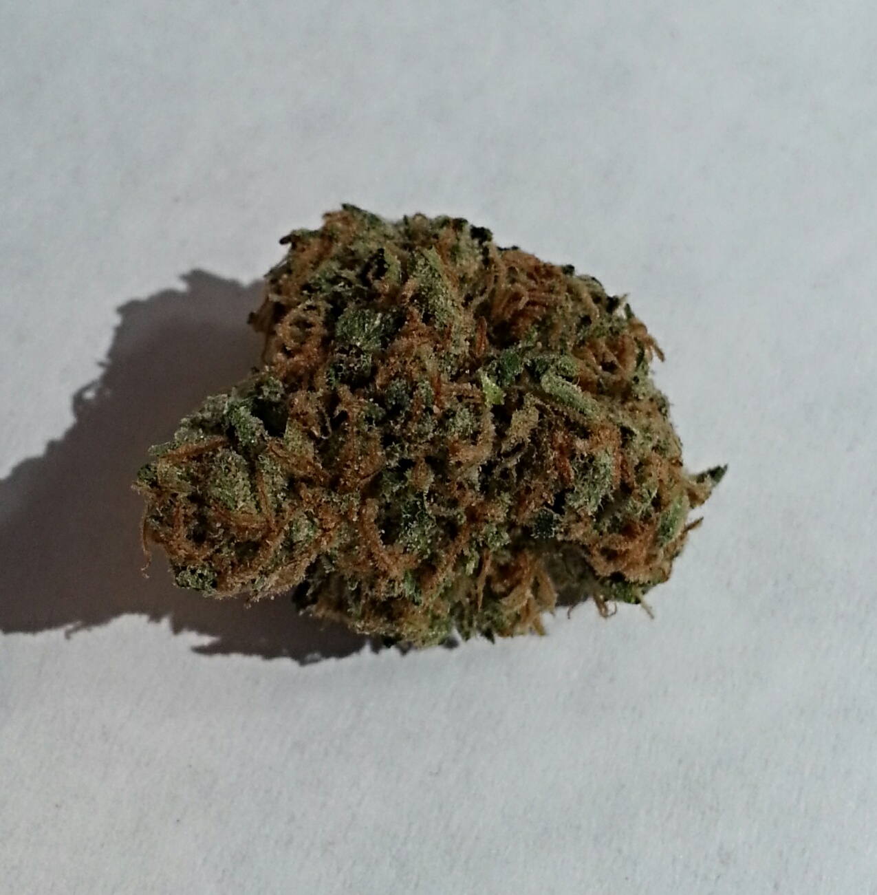 Jack Herer x OG Kush from Second Story Medical Marijuana Review