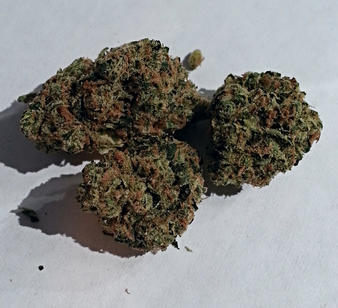 Sour Candy Apple from SAPA Medical Marijuana Review