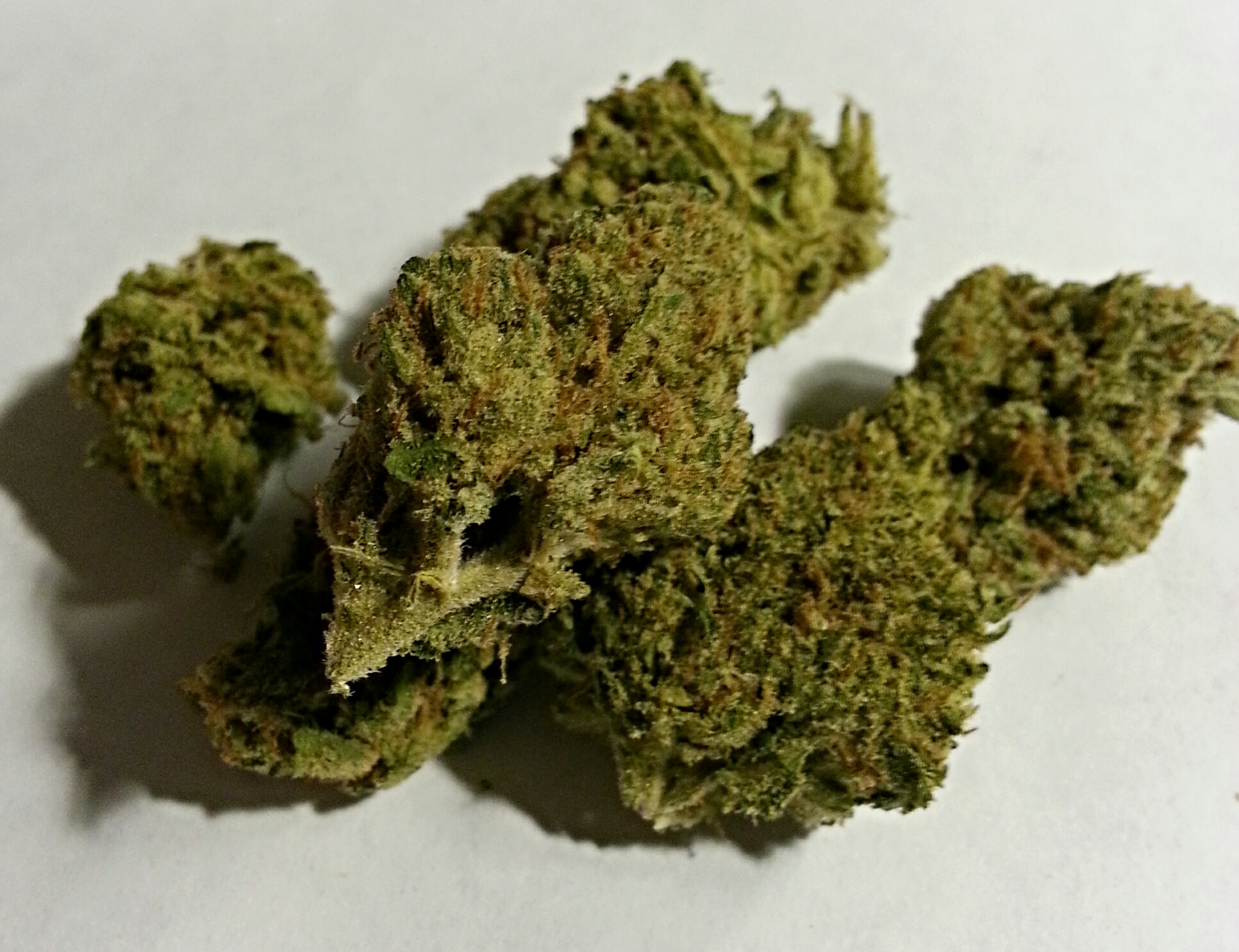 Chocolope from Just Quality Care Medical Marijuana Review