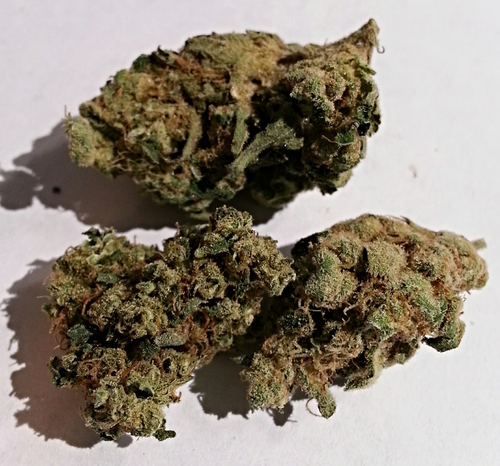 Donkey Kong Banana from Dank Depot Medical Marijuana Review