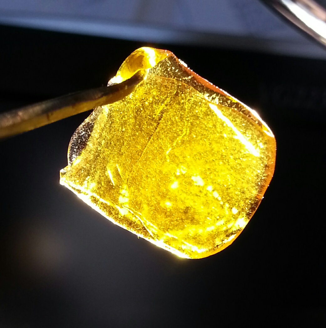 GoJilly OG Shatter from Diamond Grove Concentrate Review