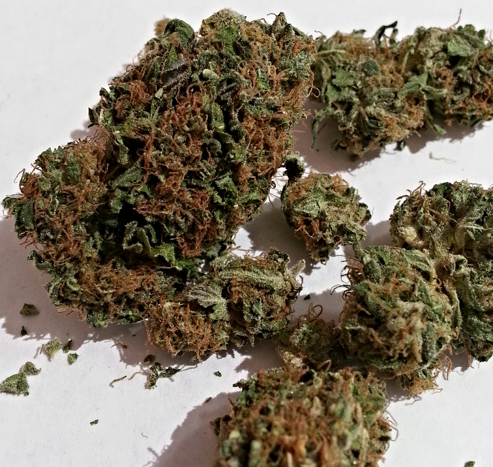 Lavender from Emerald Care Medical Marijuana Review