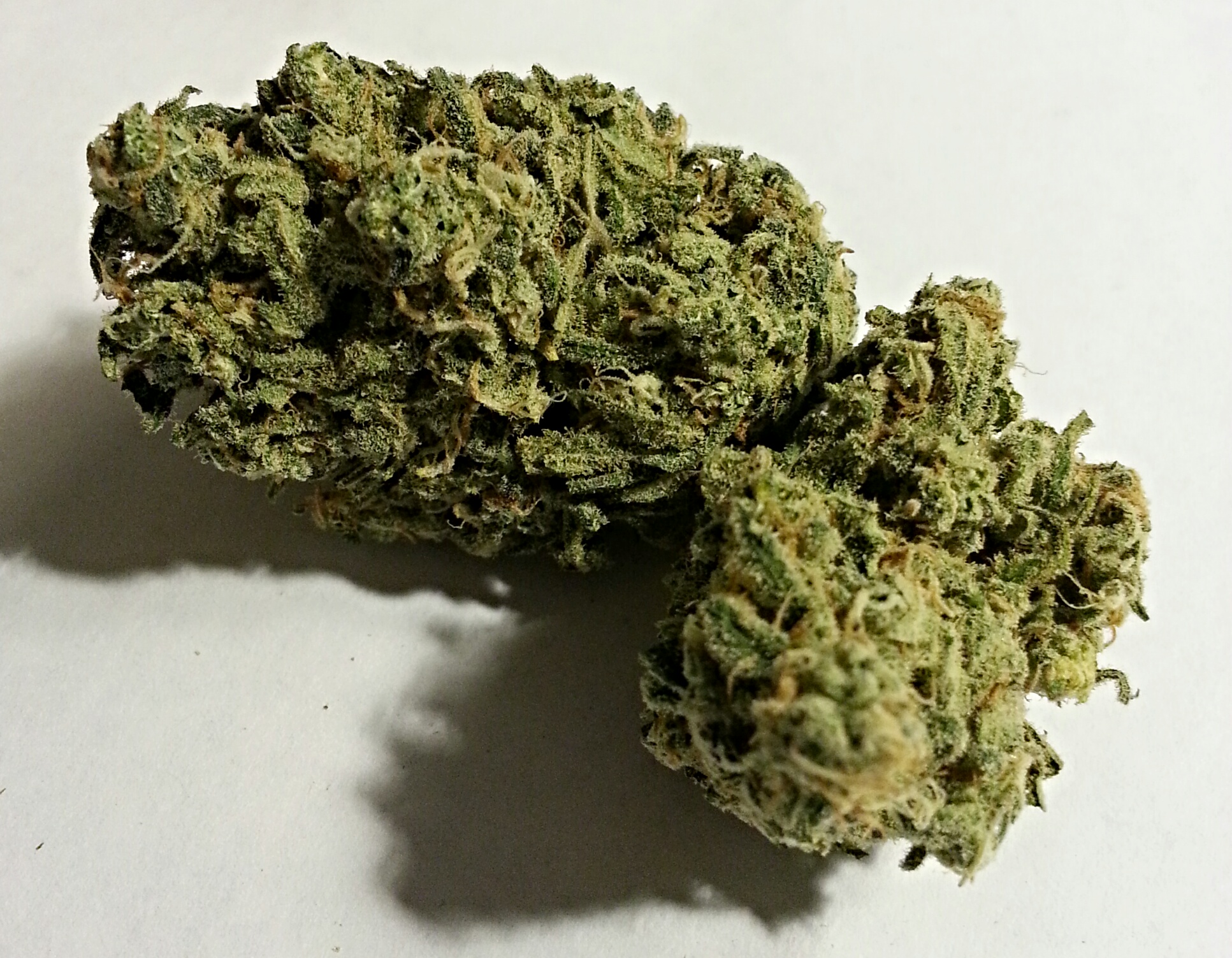 Mango Kush from AWC Medical Marijuana Review