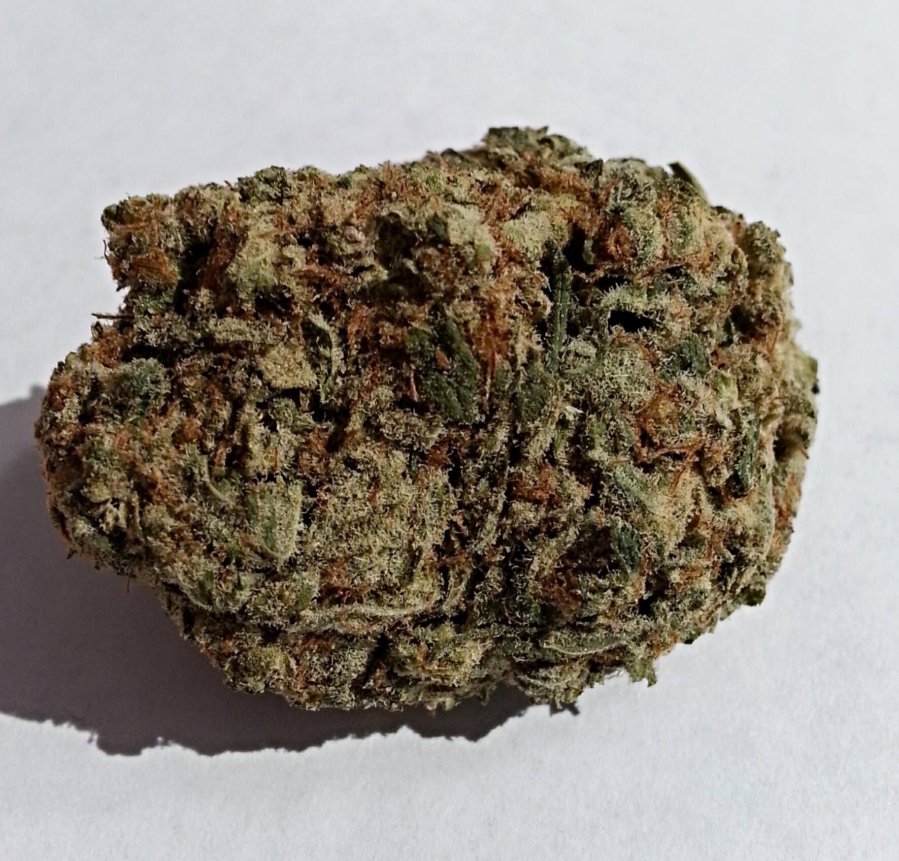 Ninja Turtles OG from OCPC Medical Marijuana Review