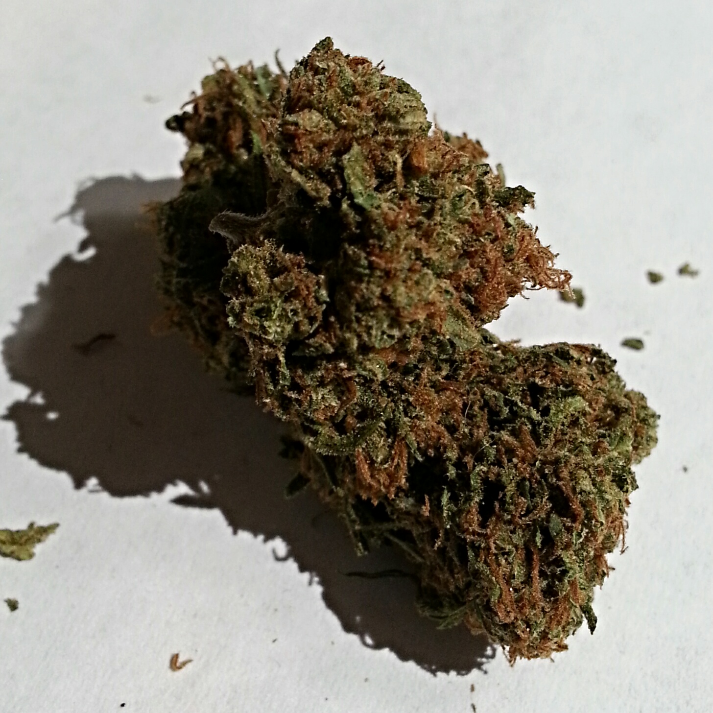 Purple Cheese from Diamond Grove Medical Marijuana Review