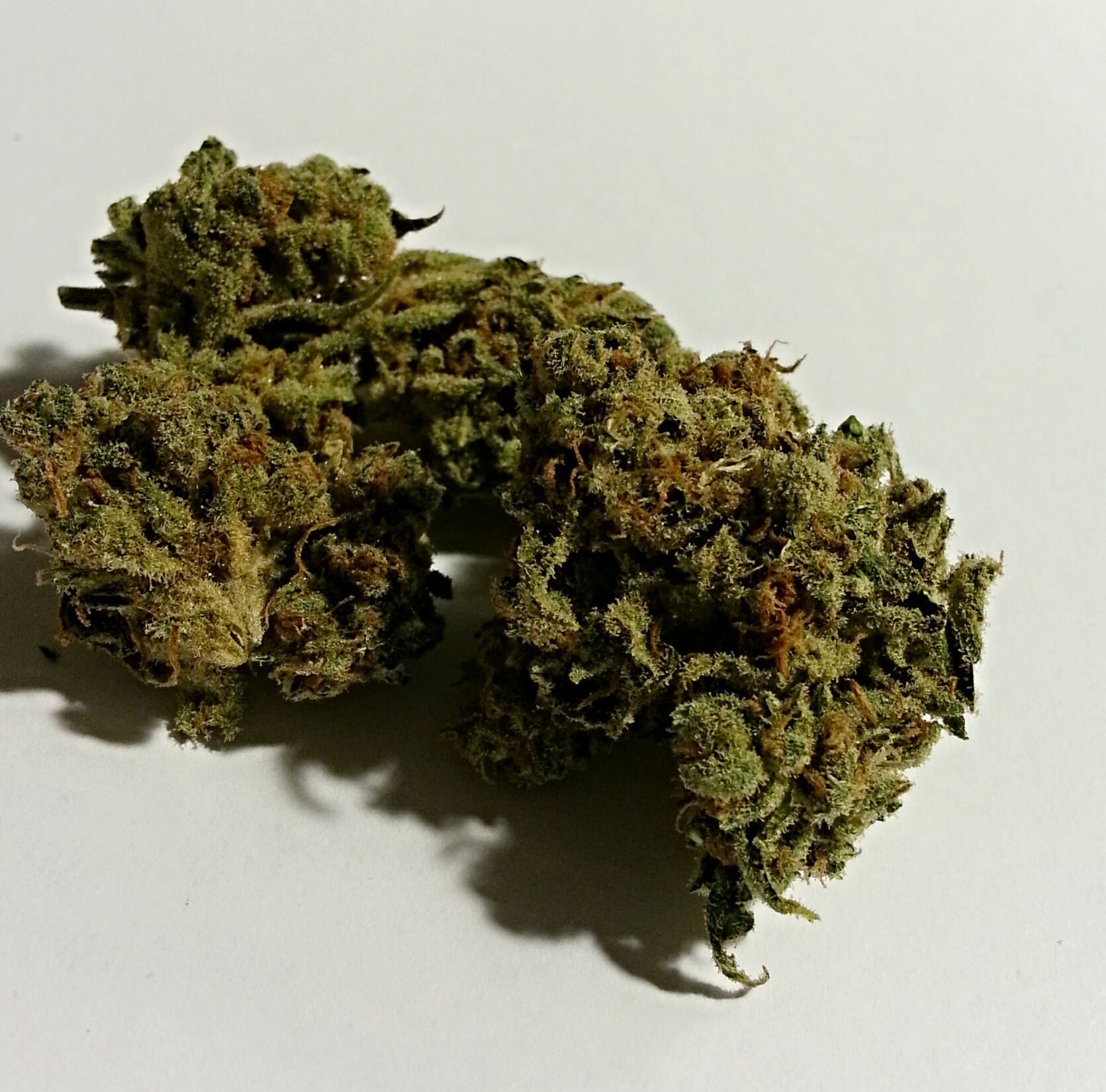 Super J1 from OCPC Medical Marijuana Review