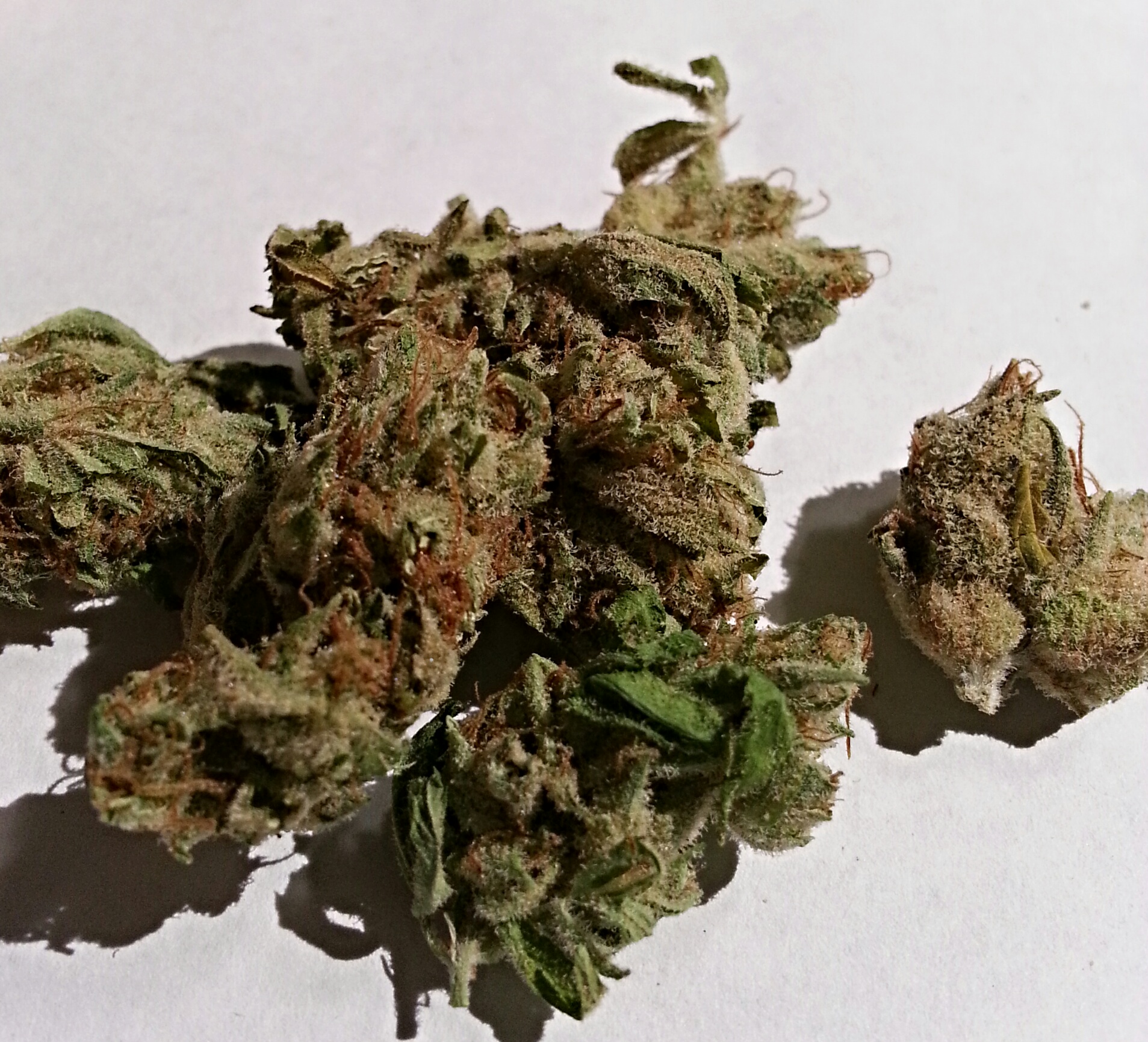 White Lightning from PSA Medical Marijuana Review