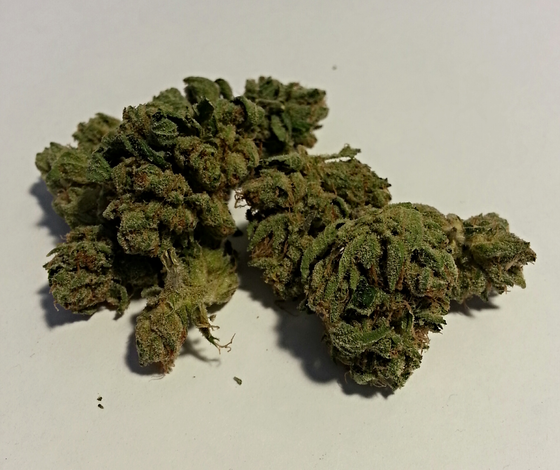 King Louis XIII from OCPC Medical Marijuana Review