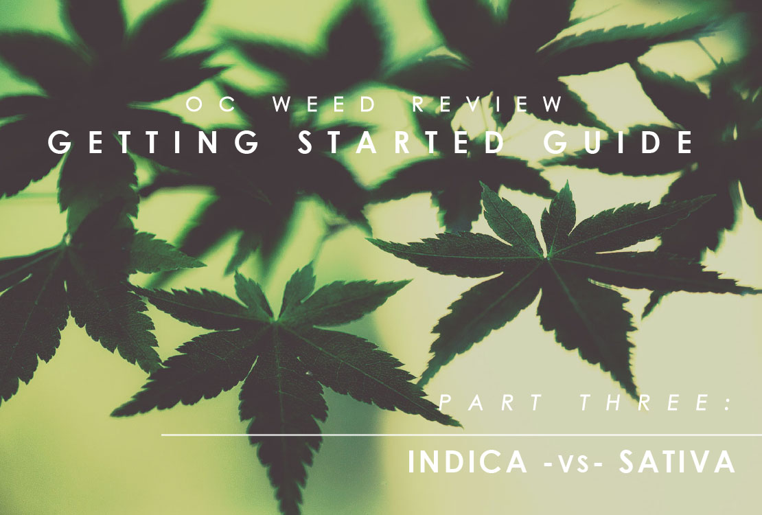 Part 3: Indica vs Sativa