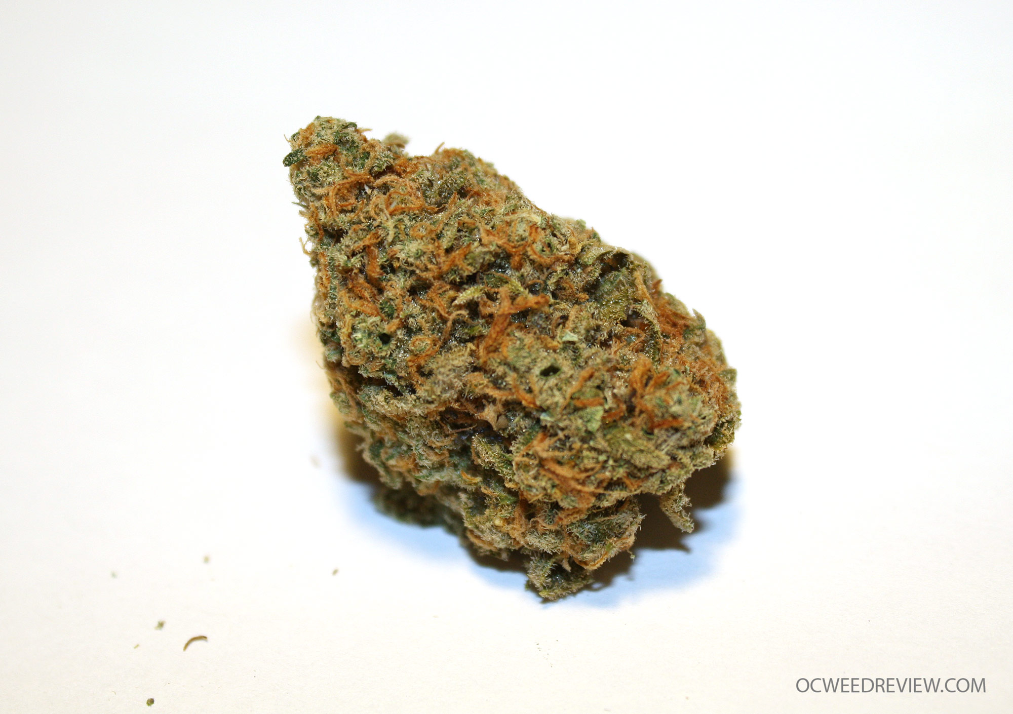 Space Queen from S.A.P.A. Medical Marijuana Review