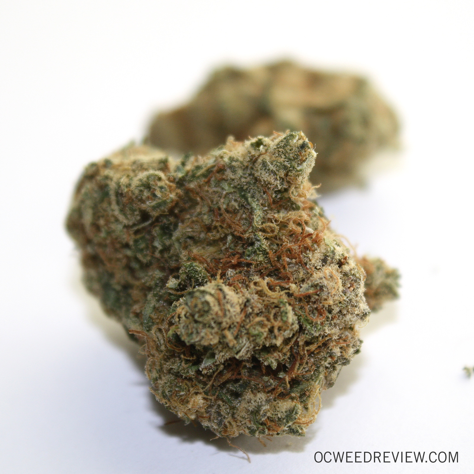 Dutch Treat from PSA Medical Marijuana Review