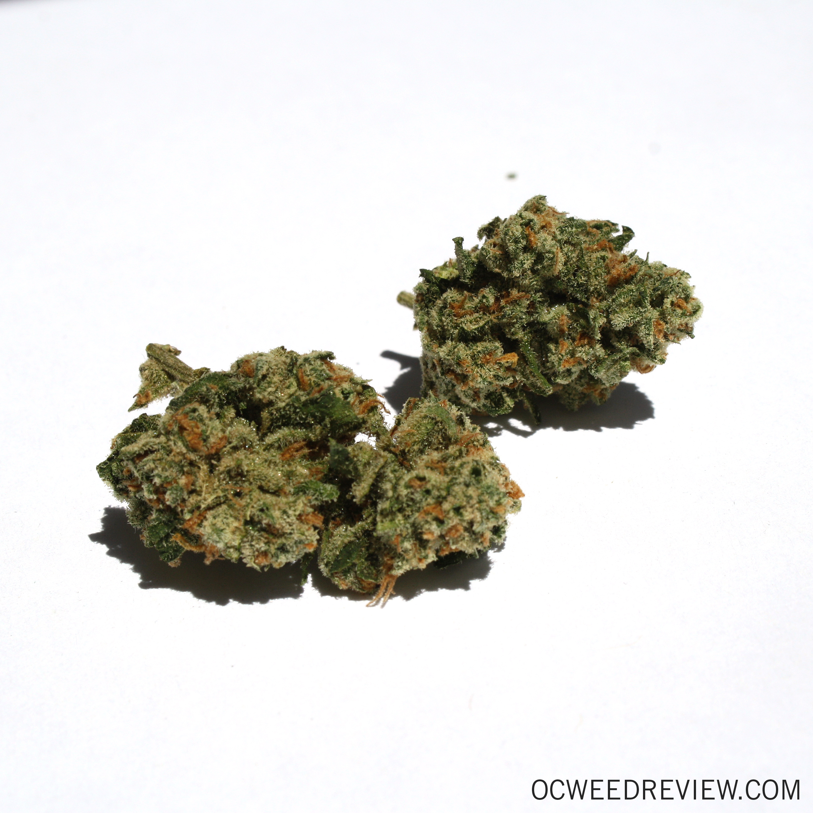 Green Crack from Second Story Medical Marijuana Review