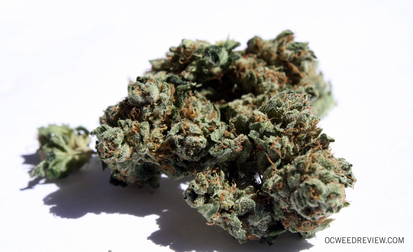 Jedi OG from Second Story Medical Marijuana Review