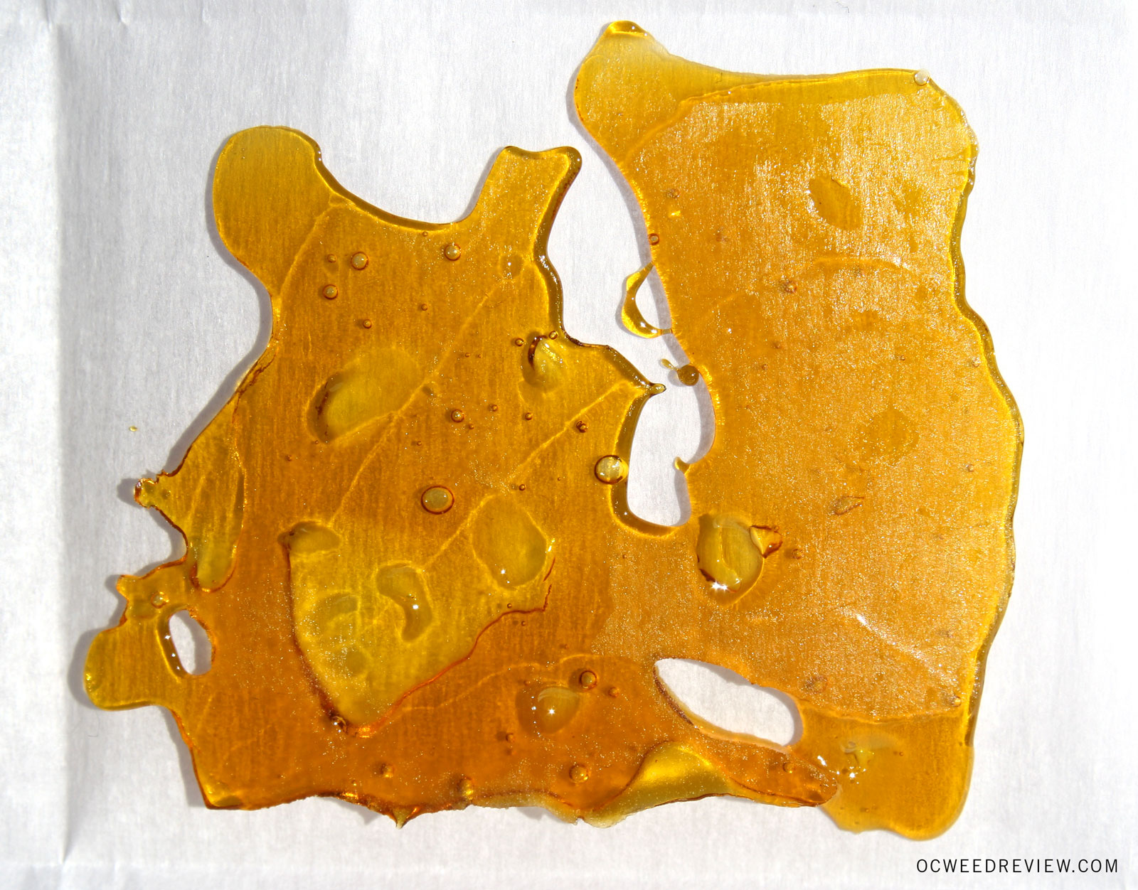 Maui Blue Shatter from Kush Extracts Review