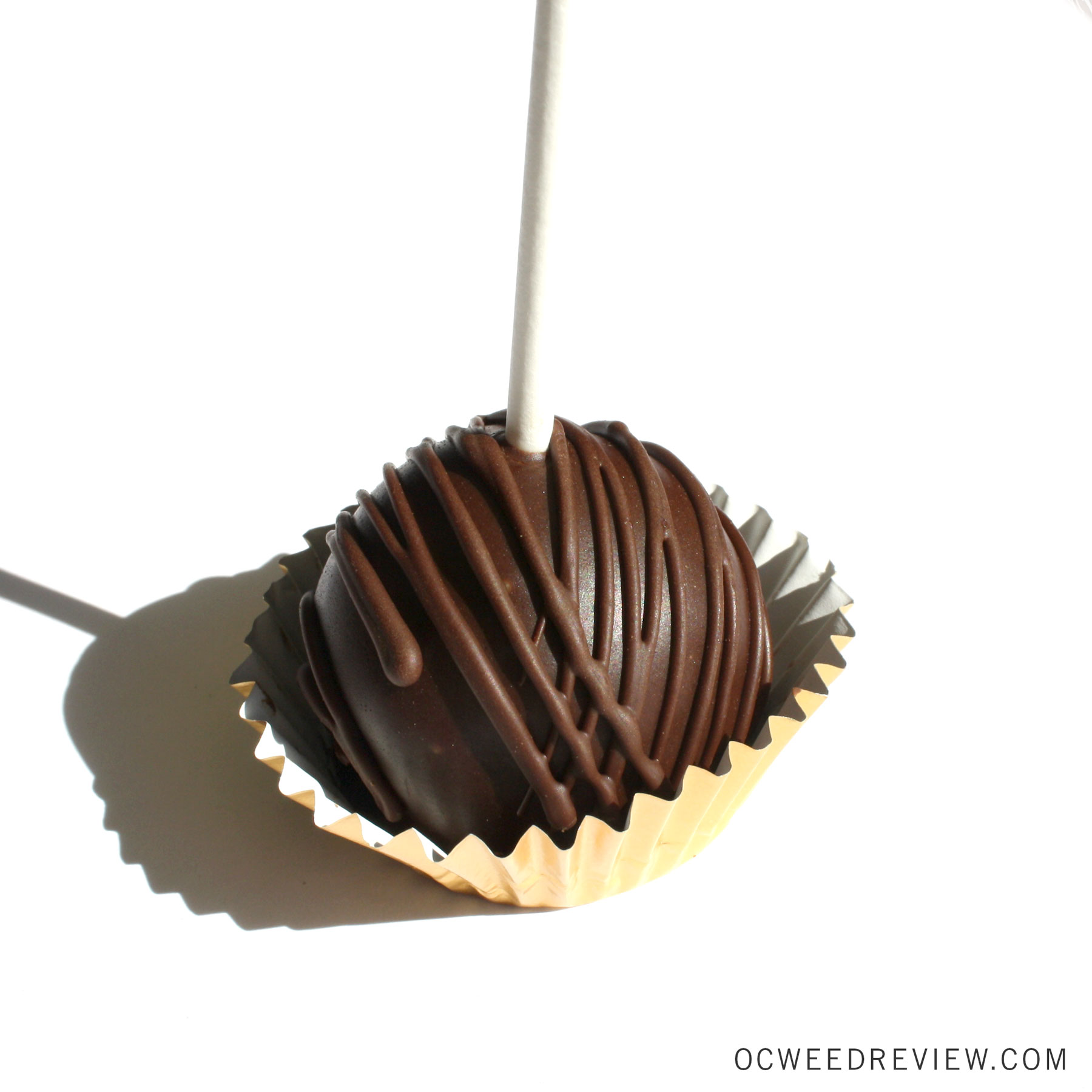 Chocolate Caramel Cake Pops from Miss Mary Jane's Bakeshop Edible Review