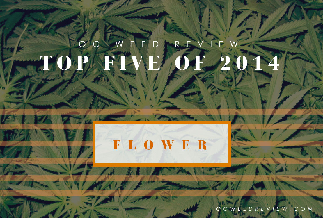 Top 5 Flowers Of 2014