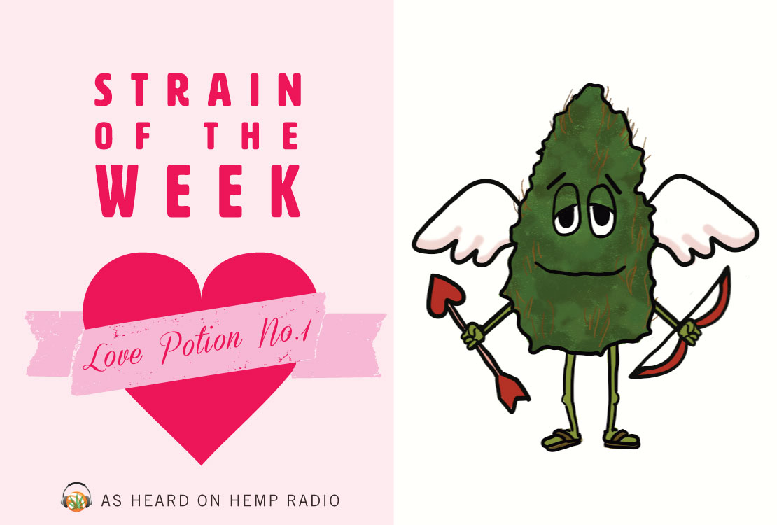 Strain of the Week: Feb. 8, 2015 (Love Potion #1)