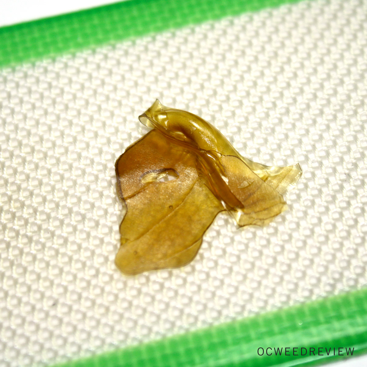 OG Kush Shatter from Buds and Honey Review