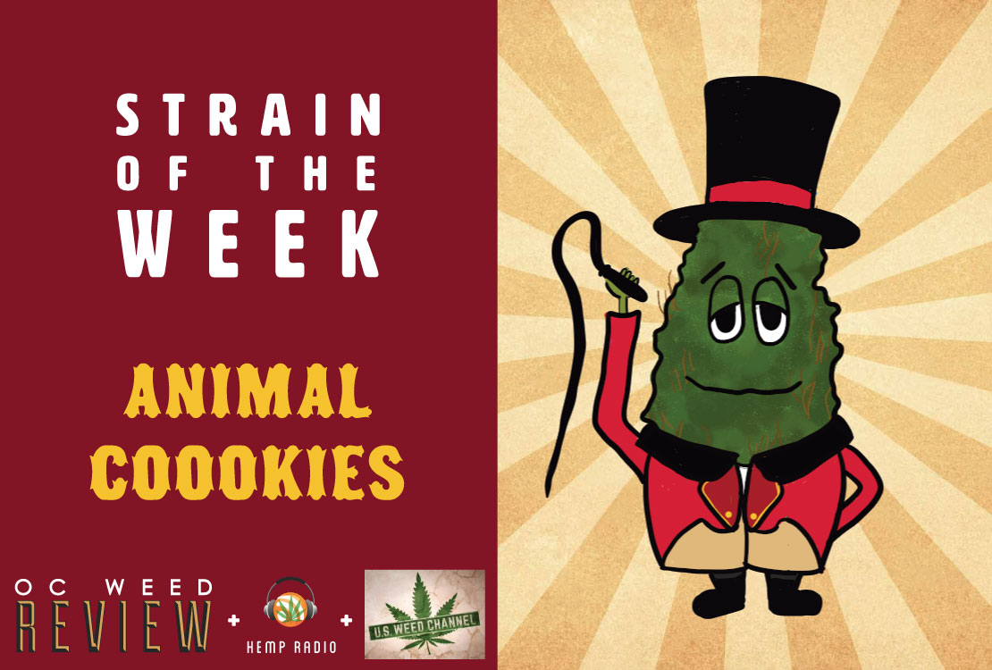 Strain of the Week: May 17, 2015 (Animal Cookies)