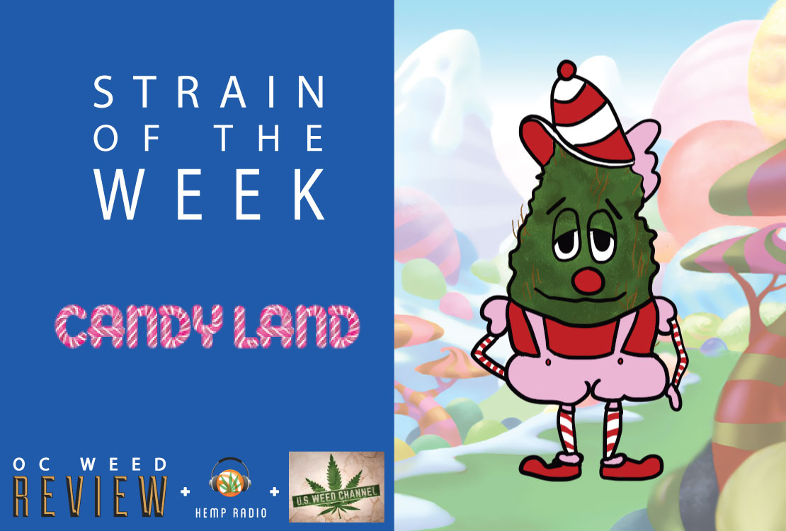 Candyland strain review