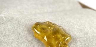 Banana OG from Moxie Extract Review
