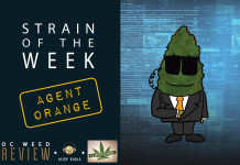 Strain of the Week: Aug. 16, 2015 (Agent Orange)