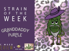 Strain of the Week: Aug. 9, 2015 (Granddaddy Purple)