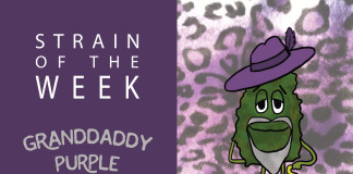Strain of the Week: Aug. 9, 2015 (Granddaddy Purple)