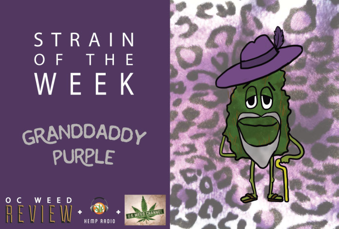 Strain of the Week: Aug. 9, 2015 (Granddaddy Purple)