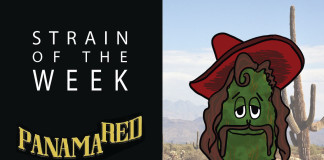 Strain of the Week: Aug. 2, 2015 (Panama Red)