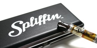 Dantes Fire from Spliffin Vape Review