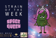 Strain of the Week: Sept. 6, 2015 (Space Queen)