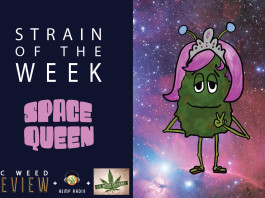Strain of the Week: Sept. 6, 2015 (Space Queen)